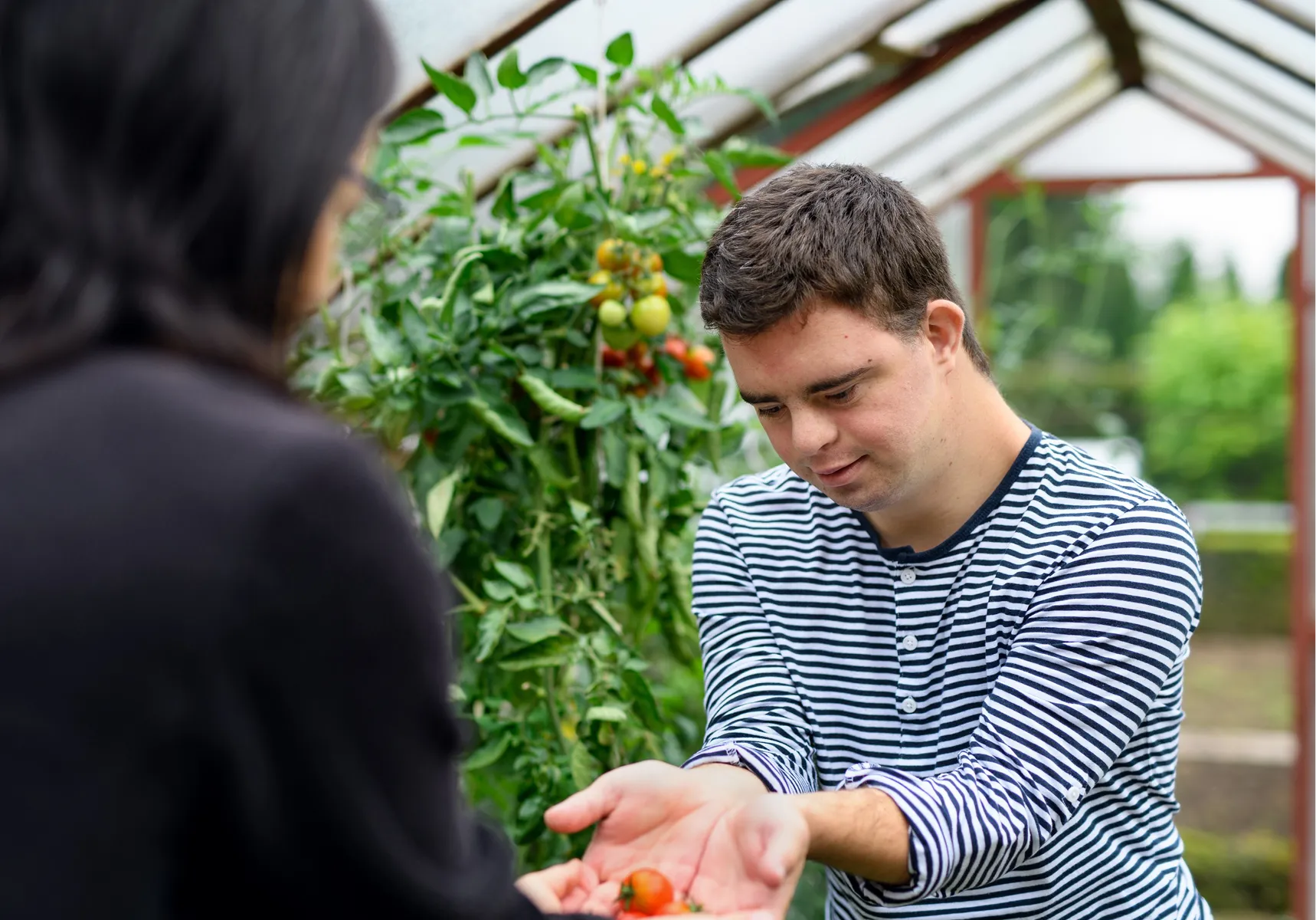 Gardening together in a community greenhouse